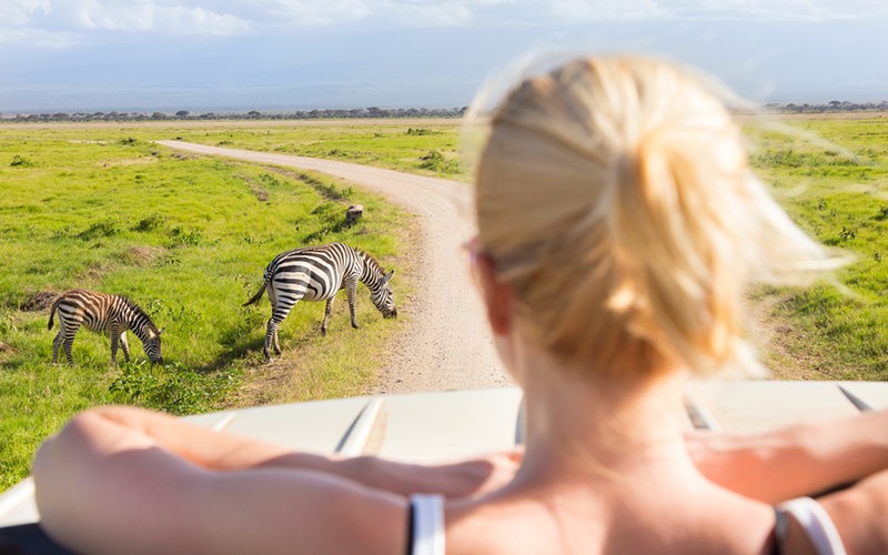 safari in African 