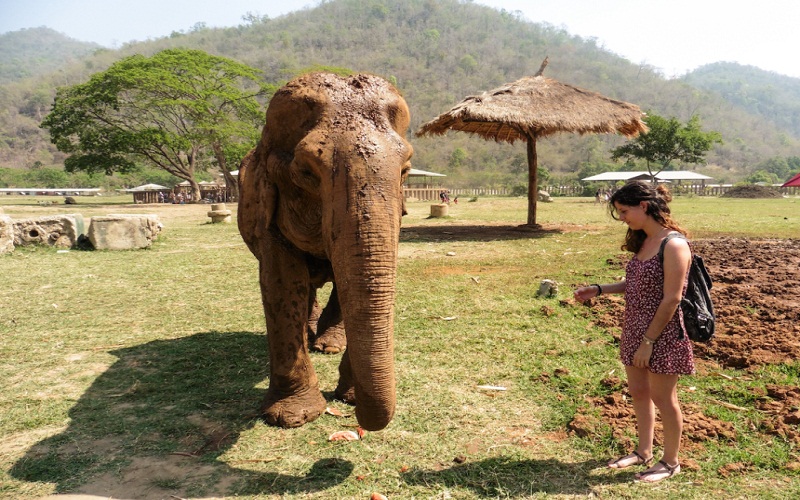 Discover  Elephant Sanctuary