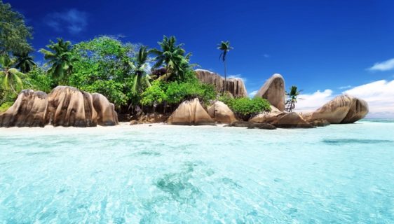 Honeymoon in the Seychelles: when relaxation is tinged with the colors of nature