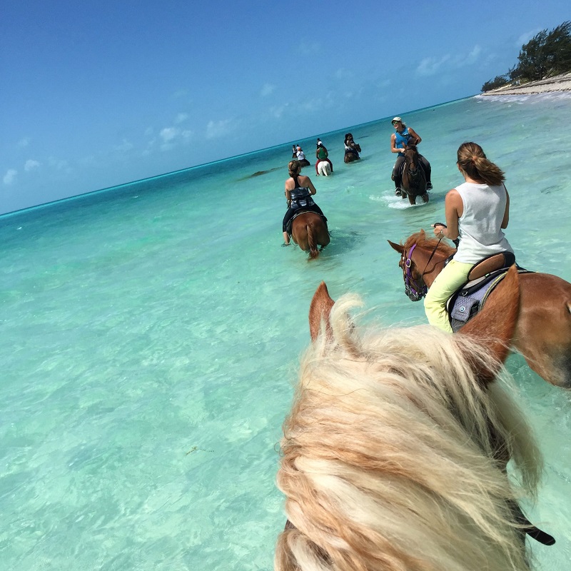 Things to do in the Turks and Caicos