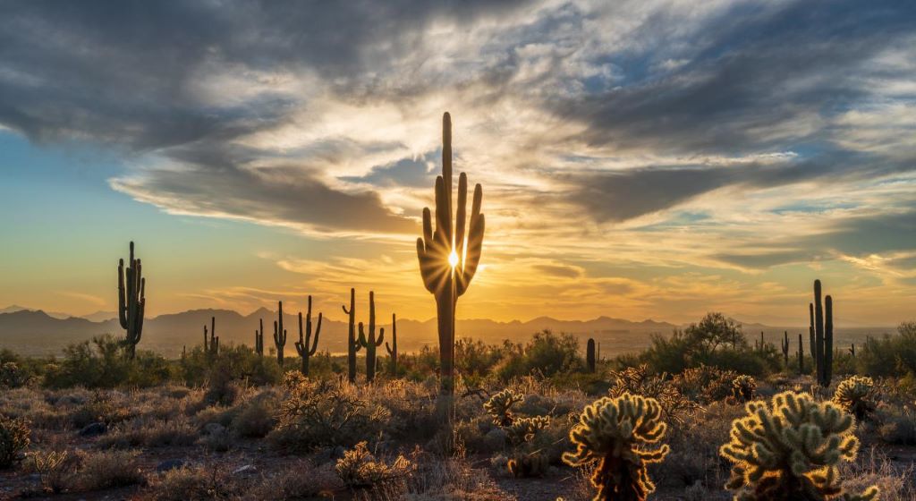 Desert Days: Scottsdale, Arizona