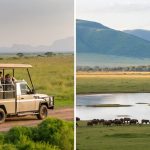 Discover why luxury travelers choose private safaris over group tours. Enjoy exclusive privacy, tailored itineraries, and unparalleled flexibility for your ultimate African adventure.